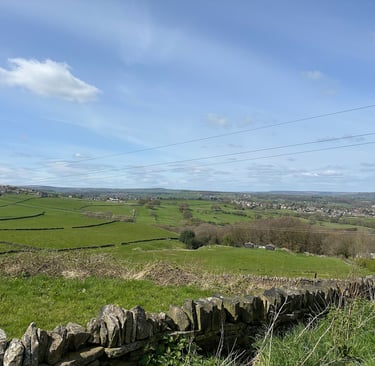 a field with a fence and power lines