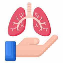 a hand holding a pair of lungs