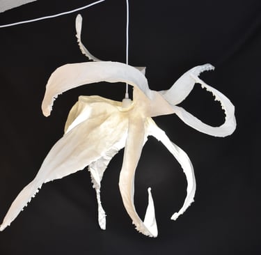 poulpe papier sculpture Sète