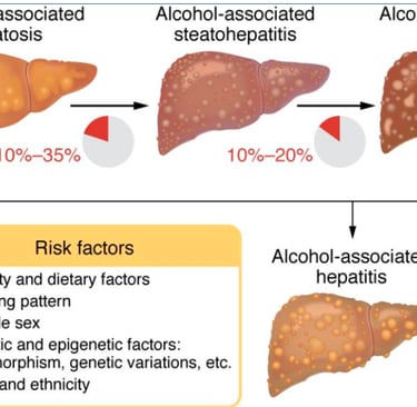 FMT can potentially prevent the recurrence of alcoholic hepatitis and other related liver diseases.