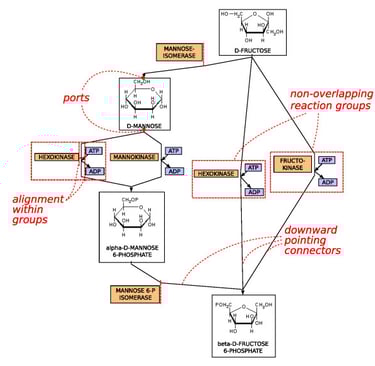Diagram of a Metabolic Pathway