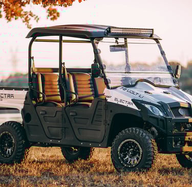 electra utv under a tree in front of a lake