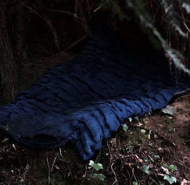 karine-nguyen-van-tham-le creux de lermite-matelas sculpté-in situ paysage