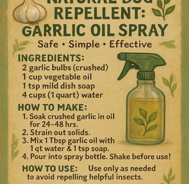 safe ~ simple ~ effective