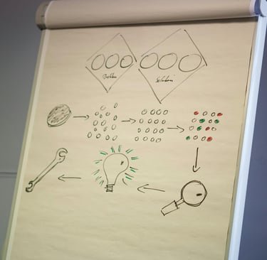 PSE-Organisation future