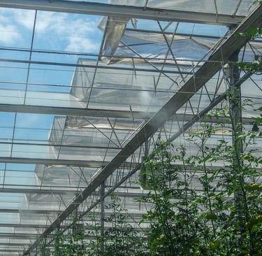 Greenhouse High Pressure Fogging System