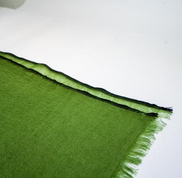 Close-up of green pashmina scarf with soft fringe edges and black border, displayed on white surface