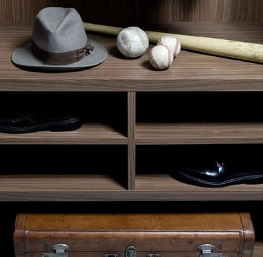 custom shoe cabinet for wardrobe