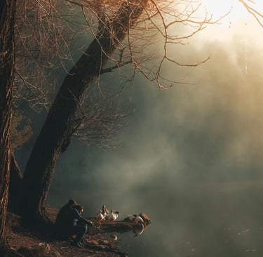 a person sitting on a bench near a body of water