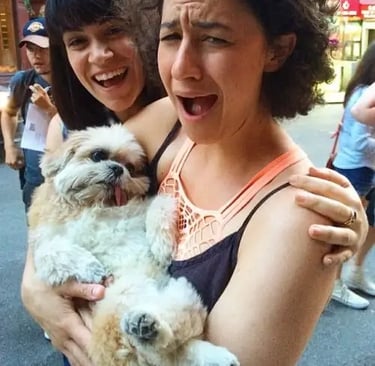 Shih Tzu puppies under $1000