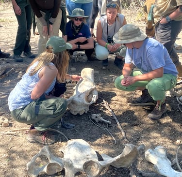 Learning about wildlife crime scenes