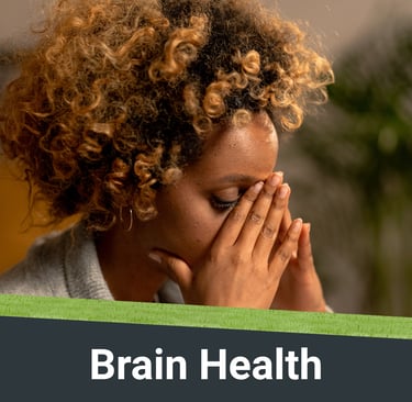 Visual representation of Brain Health Conditions