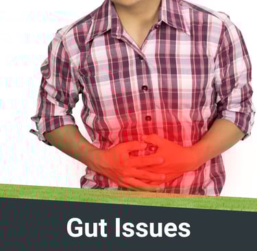 Visual representation of gut issues or GI conditions