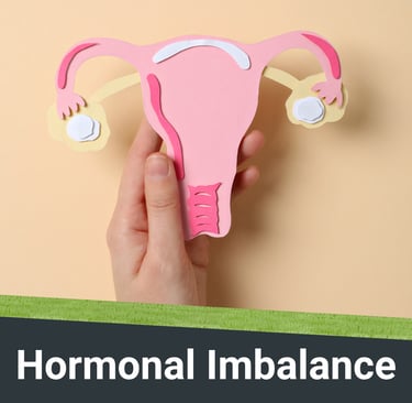 Visual representation of Hormonal Issues