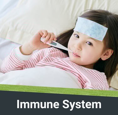 Visual representation of Immune System Conditions
