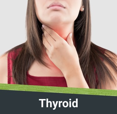 Visual representation of Thyroid Conditions