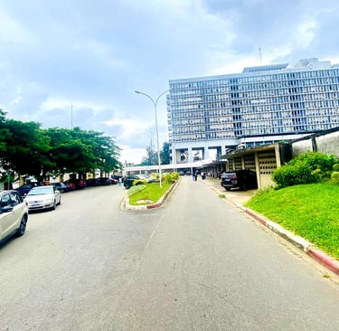 Bienvenue à UFR des sciences médicales d'Abidjan 