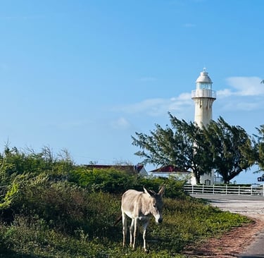 Grand Turk Lighthouse