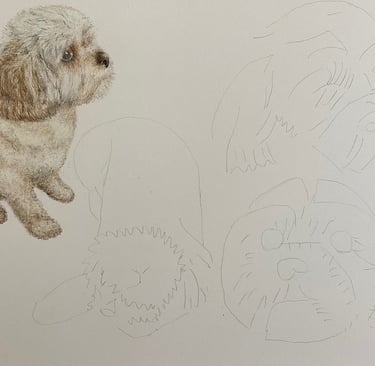 Dogs