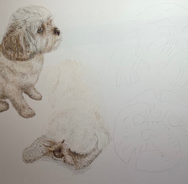 Dogs
