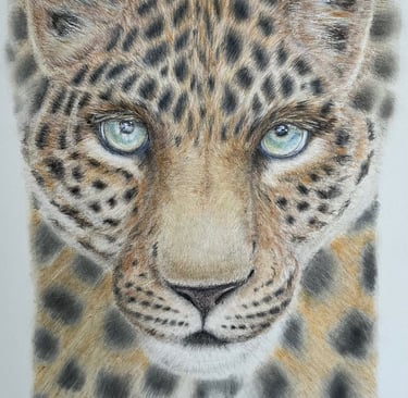 Leopard