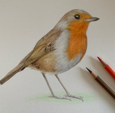 Robin