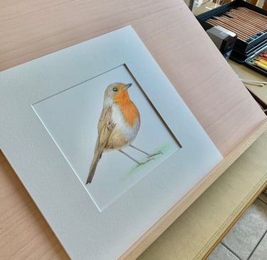 Robin