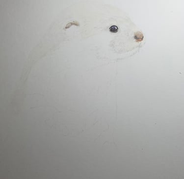 Otter