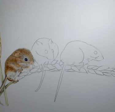 Mice