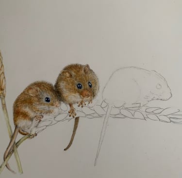 Mice