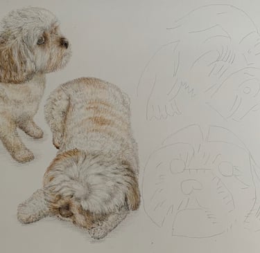 Dogs