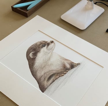 Otter