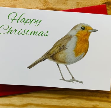 Christmas robin