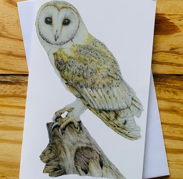 Owl
