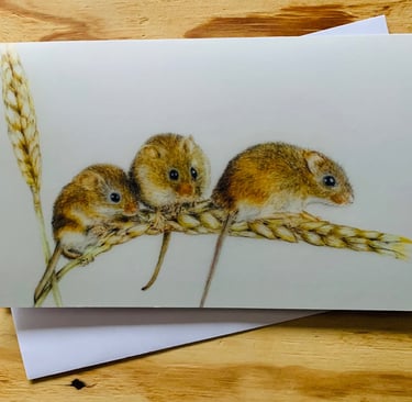 Harvest mice