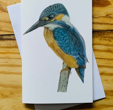 Kingfisher