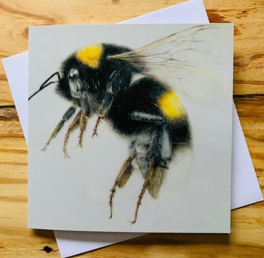 Bee