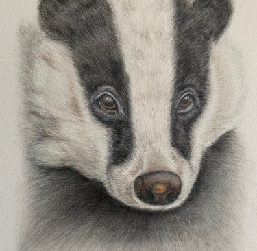 Badger