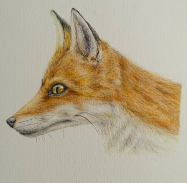 Fox