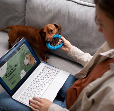 Digital Marketing For Dog and Cat Shelters in Cyprus