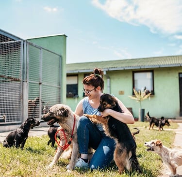 SEO for Dog and Cat Shelters in Cyprus: Rank Locally Fast