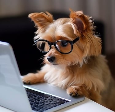 SEO For Pet Shops in Cyprus