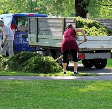 Landscaping SEO in Cyprus: Growing Your Green Business Online