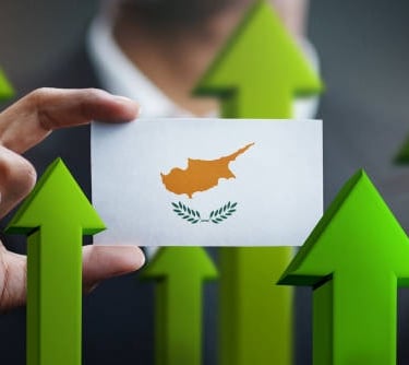 SEO for Safari and Tour Businesses in Cyprus