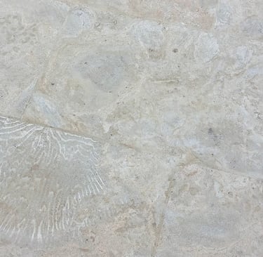 Detalle de formaciones focilizadas de coral en terraza de piscina