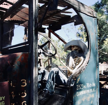 Diver's License Expired