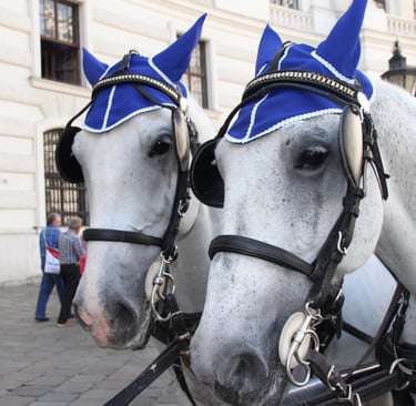 Working in Unison (Vienna, Austria)