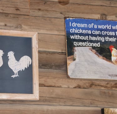 Hopefully these chickens will find their way