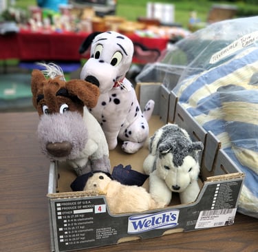 They want a new home