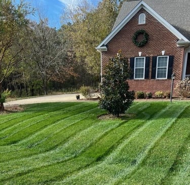 Residential lawn care service in Apex with healthy, well-maintained turf